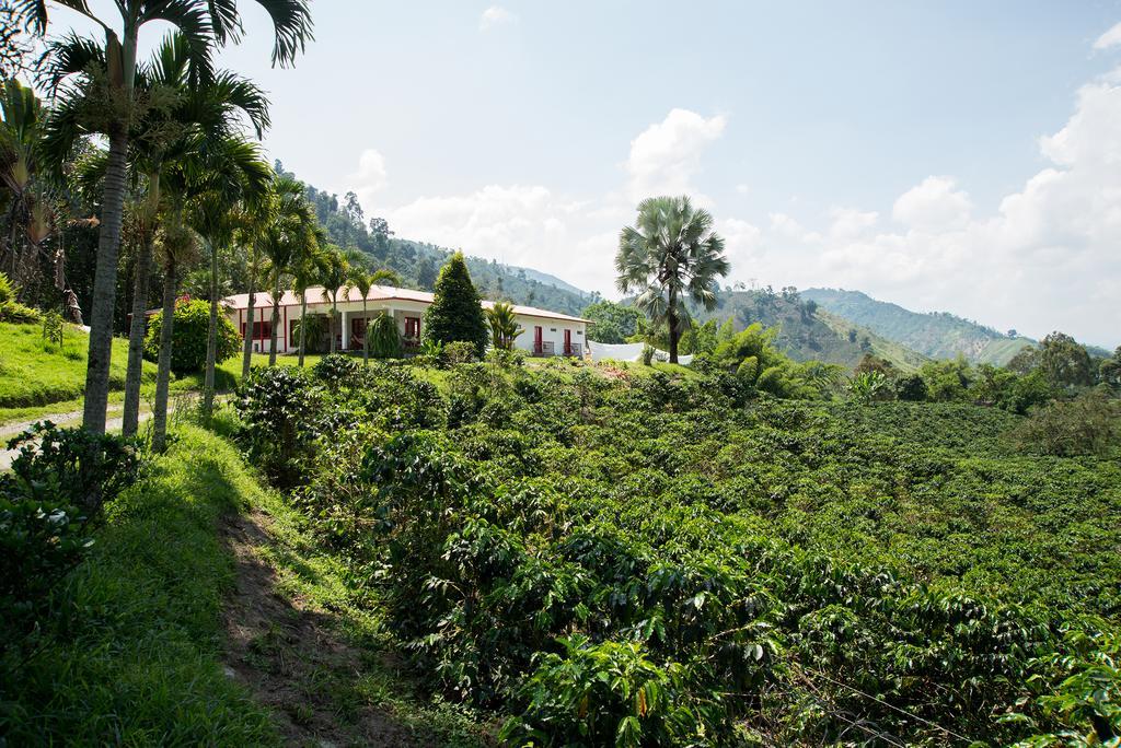 Hacienda Venecia Coffee Farm Hotel Manizales Room photo